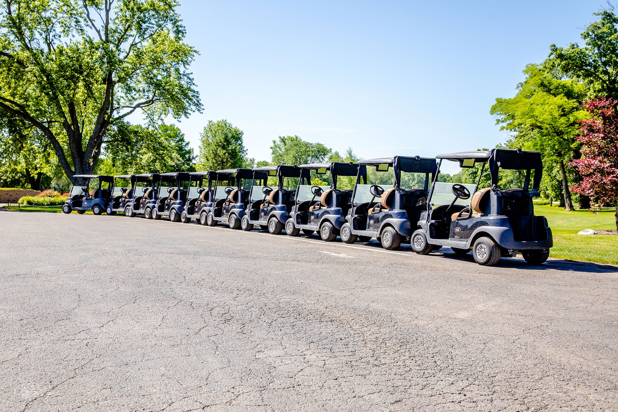Deer-Park-Golf-Course-Carts